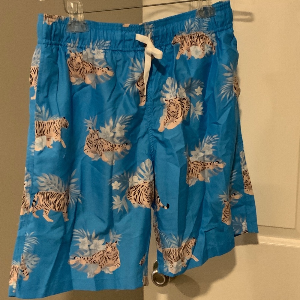 Blue Tiger Print Men's Shorts